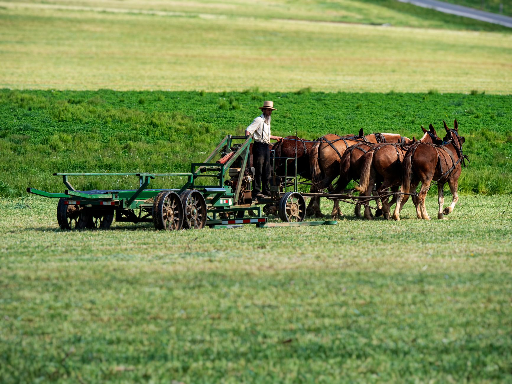 Naturally Amish Expansion: Smart Growth with $3 Million Deal