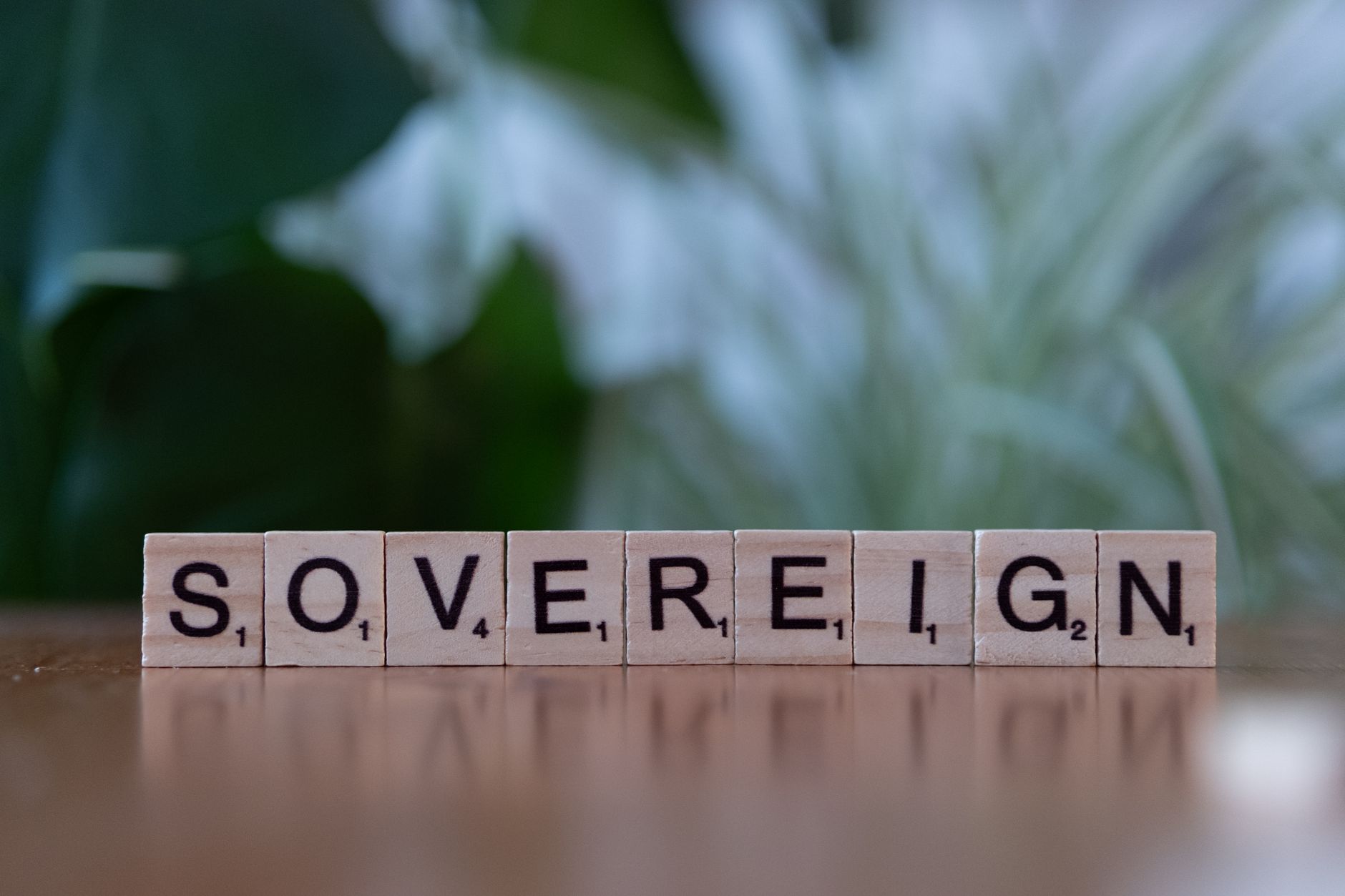 Sovereign AI Acquisition: The Best Strategy for Growth